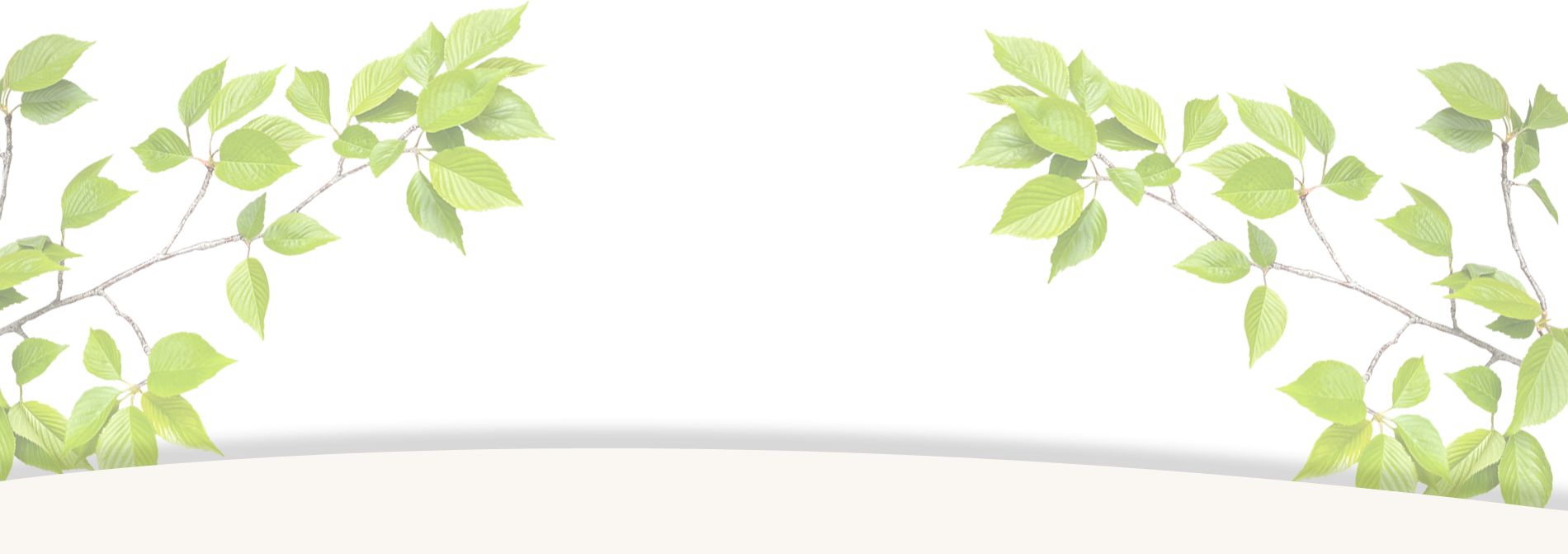 ゴールデンナゲット